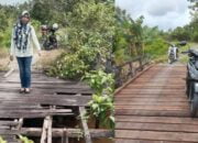 Legislator Kapuas Menyambut Baik Perbaikan Jembatan Desa Mawar Mekar