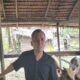 Upaya Peningkatan Pertanian: Ketua DPRD Seruyan Awasi Penyerahan Bibit Ternak Sapi dengan Seksama
